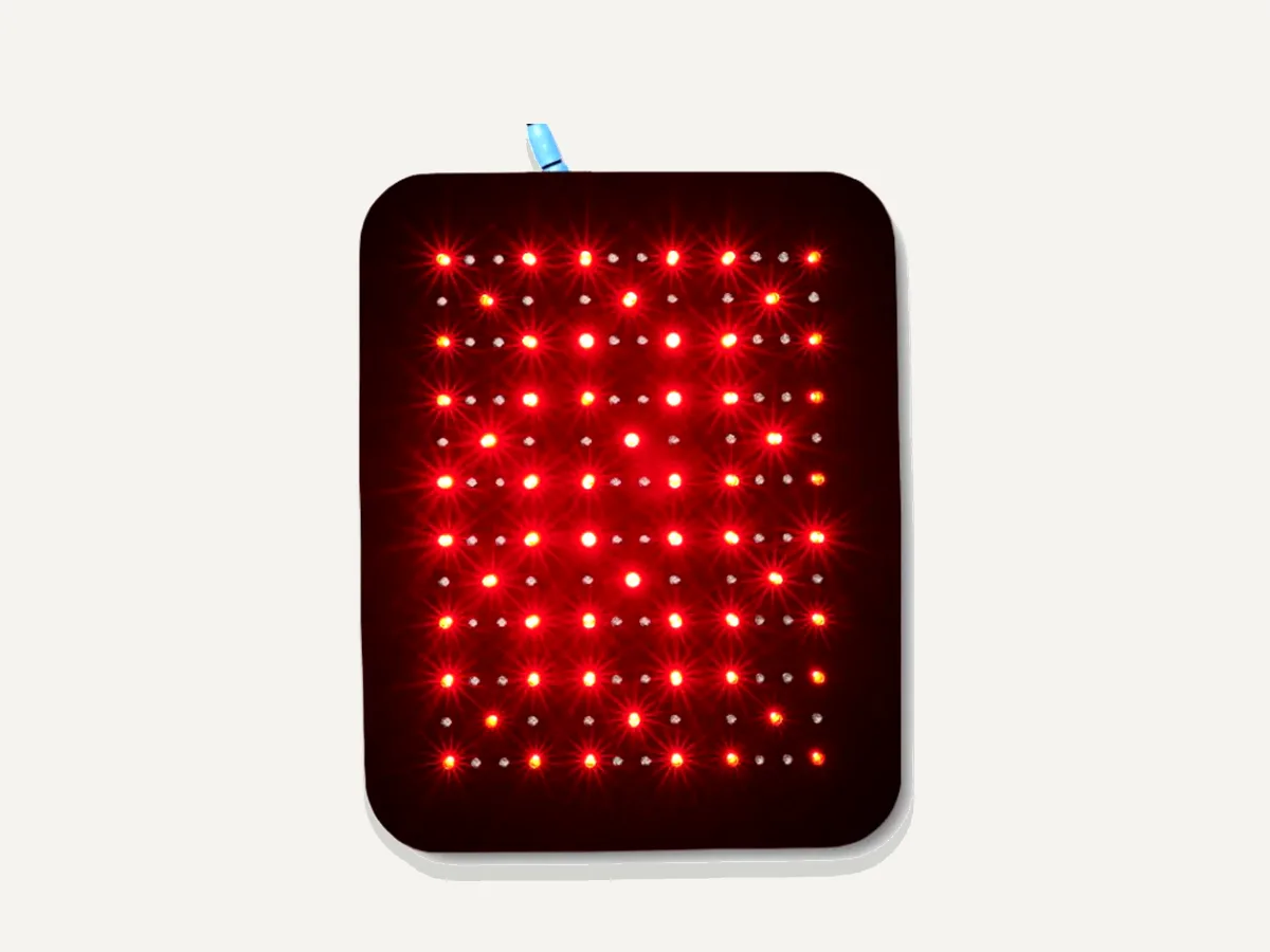 Equine & Canine Light Therapy "Gospel's" Medium Light Therapy Pad