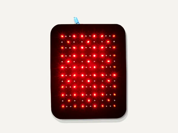 Image: equinelighttherapy.com Equine & Canine Light Therapy "Gospel's" Medium Light Therapy Pad