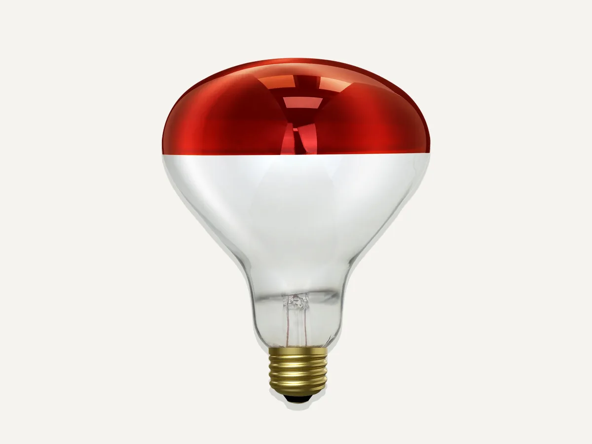 Feit Electric 250 Watt BR40 Red Reflector Heat Lamp 250R40/R