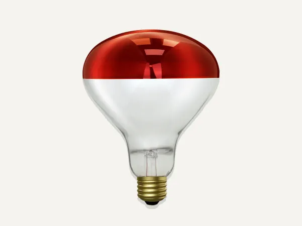 Image: feit.com Feit Electric 250 Watt BR40 Red Reflector Heat Lamp 250R40/R