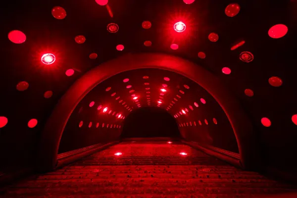 Bon Charge Infrared PEMF Sauna Dome, photo 3 of 11