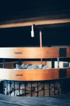 Image: topture.com Harvia Legend 150 (WK150LD) 16 kW, photo 4 of 6