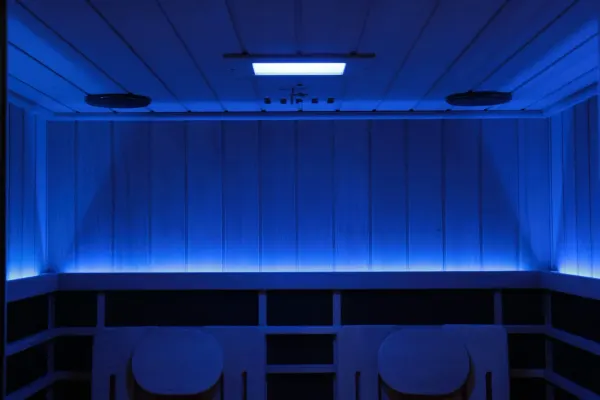 Image: sunhomesaunas.com Sun Home Eclipse 2-Person Red Light & Full-Spectrum Infrared Sauna, photo 11 of 11