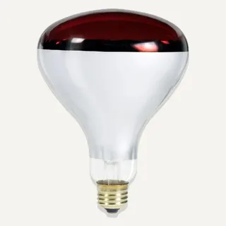 Image: rexelusa.com Philips 250W BR40 Red Safety Coated Heat Lamp